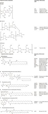 Membrane-Interacting Antifungal Peptides